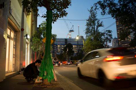 Jane Green installing Green Giving tree