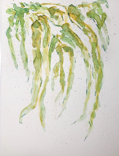 'Eucalyptus leaves' 2021, 42 x 59 cm, watercolour on paper