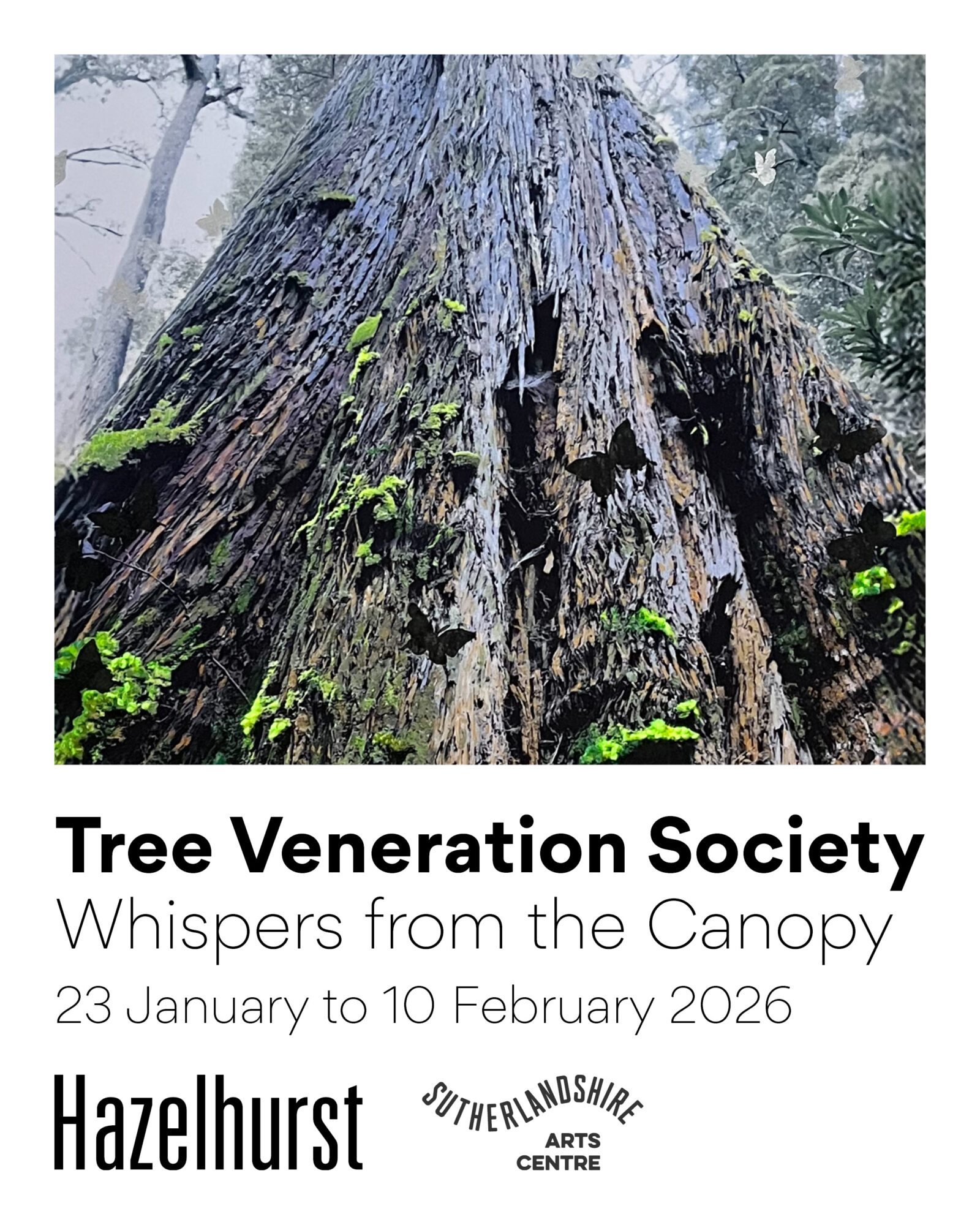 Invitation_Tree Veneration Society