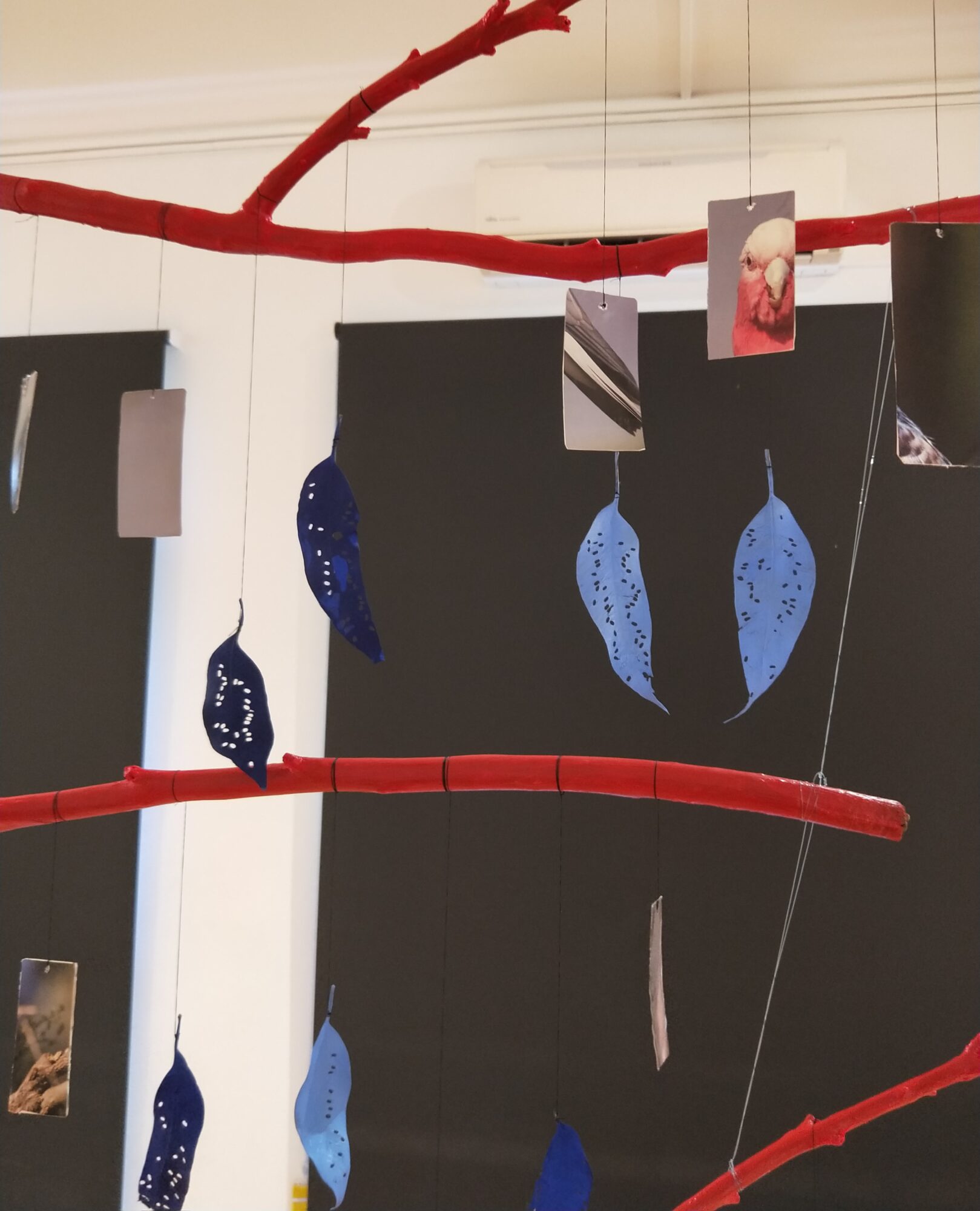 Ode to Crimson Rosella 2 Sue Stevens023, Coastal Revegetation 2016, Sue Stevens