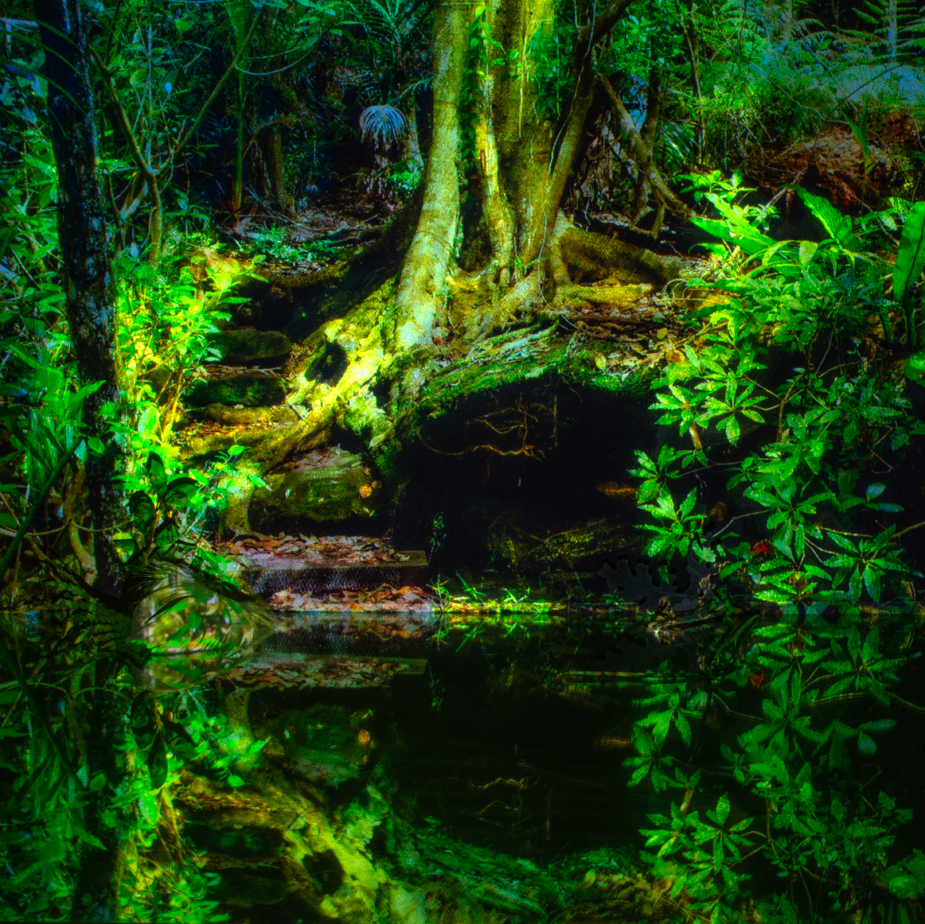 Pond square, Adrienne Hunt
